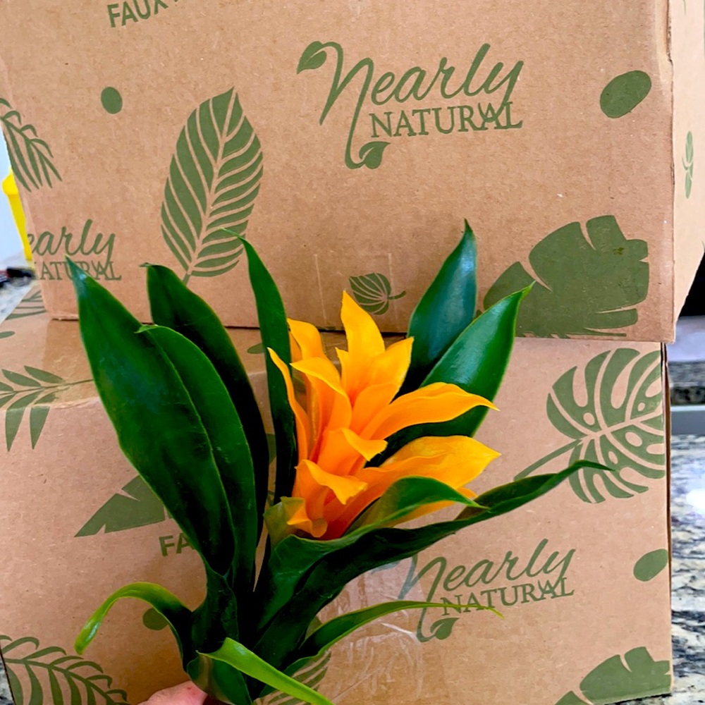 Nearly natural yellow bromeliad